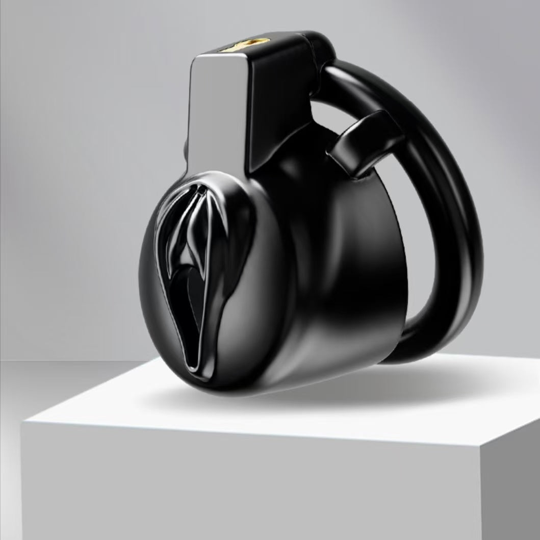 Super Cute ABS Pussy Chastity Cage