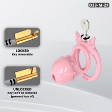 Load image into Gallery viewer, Lover's Promise Chastity Cage
