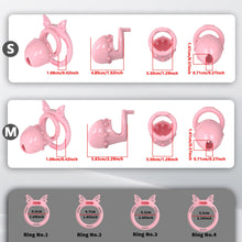 Load image into Gallery viewer, Lover's Promise Chastity Cage
