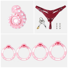 Load image into Gallery viewer, Pink belt set with four rings, red belt, lock, keys and six fasteners
