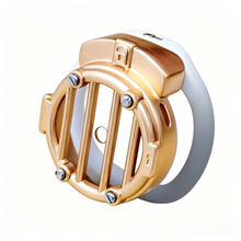 Lade das Bild in den Galerie-Viewer, Gate Chastity Cage
