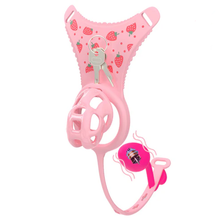 Load image into Gallery viewer, Cobra Deluxe Chastity Cage Set

