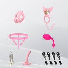 Load image into Gallery viewer, Cobra Deluxe Chastity Cage Set
