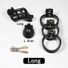 Load image into Gallery viewer, 3D Double-headed Chastity Cage with 3 Rings
