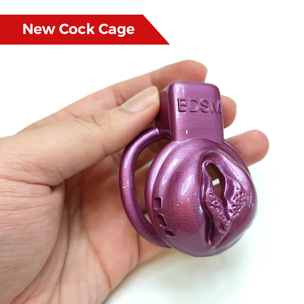 BDSM Vaginal Chastity Devices Cage