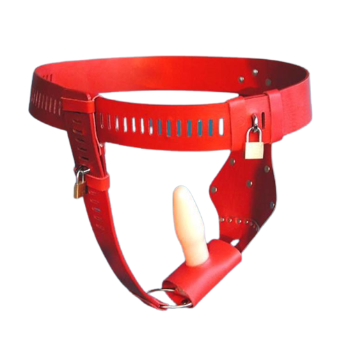 Female Convenient Chastity Belt With Anal Plug Chastity Devices