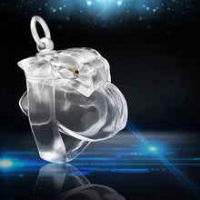 Load image into Gallery viewer, HT-V4 Cage with Binding Loop Ring Male Chastity Device
