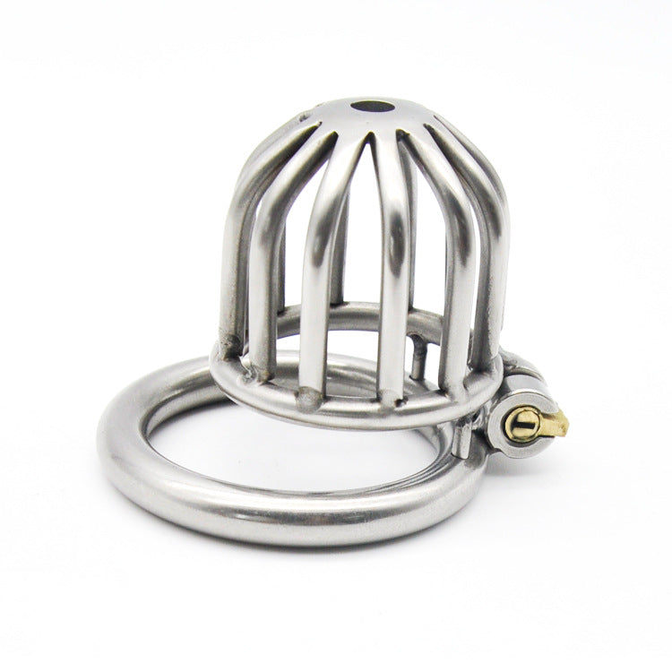 Locked and Shamed Metal Chastity Cage
