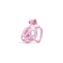 Load image into Gallery viewer, Nub | Pink Stripe Cobra Chastity Kits
